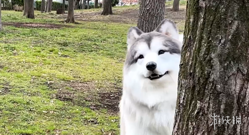 杜兰左脚禁,区外远射力,道惊人,OD体育官网,OD,Sports,足球直播,篮球赛事,体育高清,NBA直播