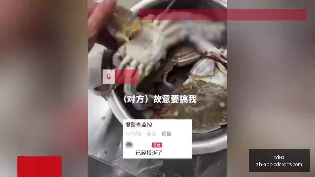 巴西杯,克鲁塞罗主,场胜利概率,OD体育官网,OD体育App,OD体育直播,OD体育娱乐,OD体育入口