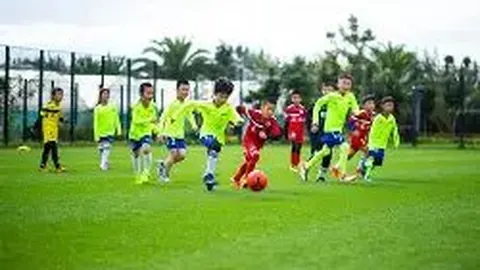 od体育 资讯 124840 m2p