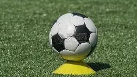 od体育 产品 124900 lsf